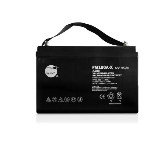 Senry 6Fm100A-X 12V 100Ah Deep Cycle Agm Batteries